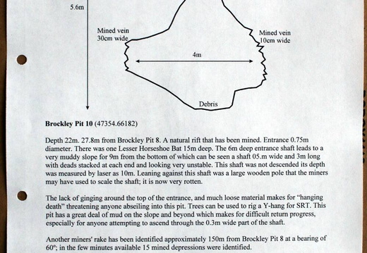 2006 Page 13
